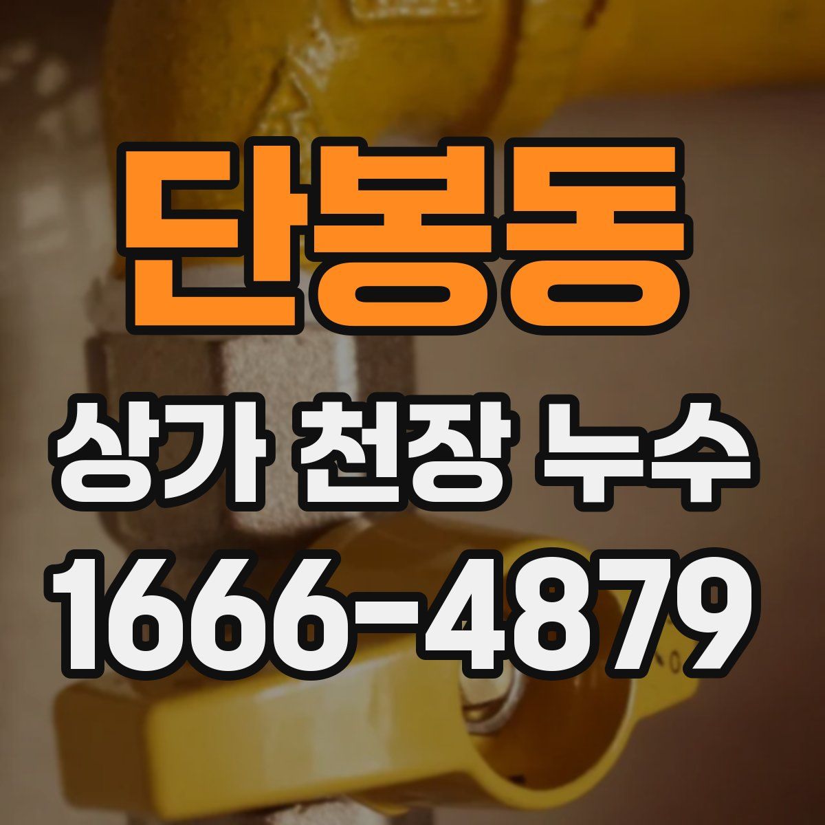 단봉동 상가 천장 누수