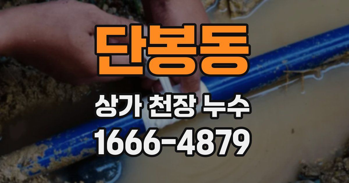 단봉동 상가 천장 누수