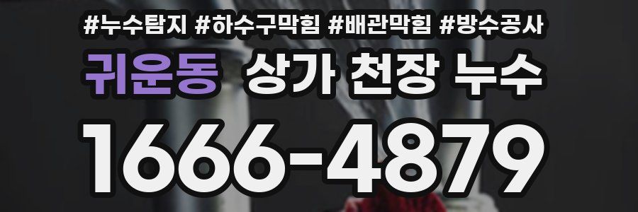 귀운동 상가 천장 누수