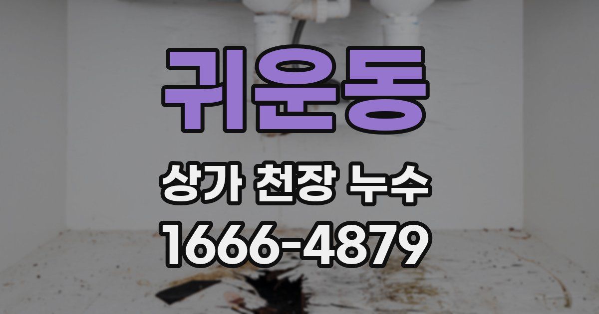 귀운동 상가 천장 누수