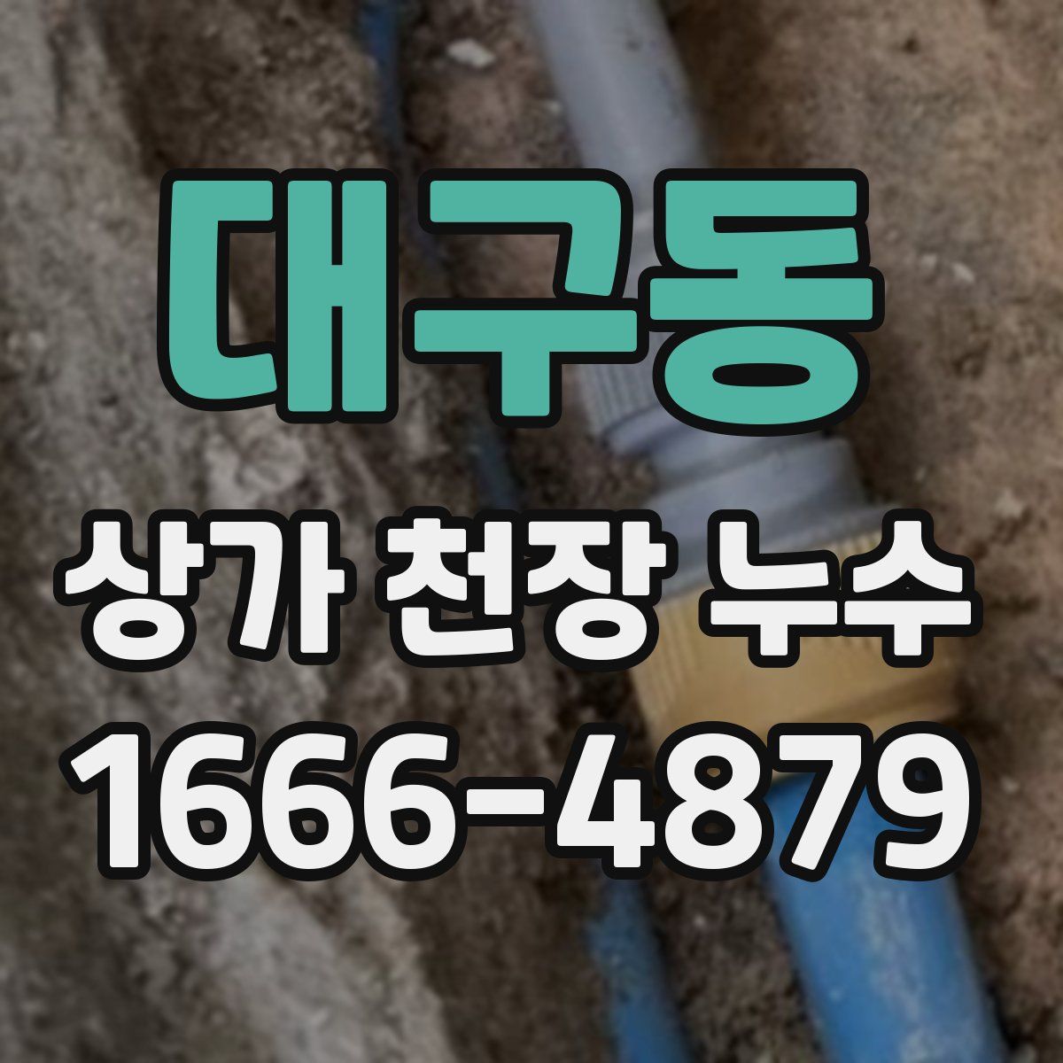 대구동 상가 천장 누수