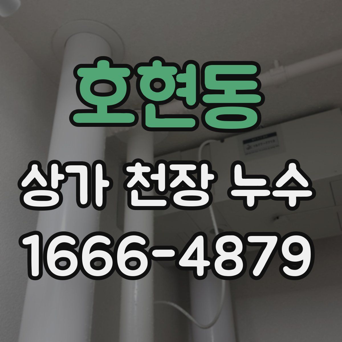호현동 상가 천장 누수