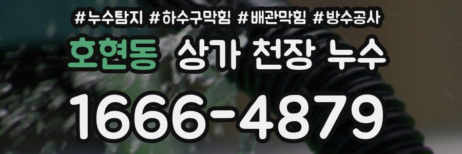 호현동 상가 천장 누수