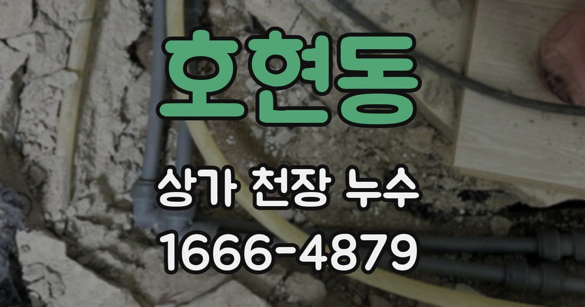 호현동 상가 천장 누수