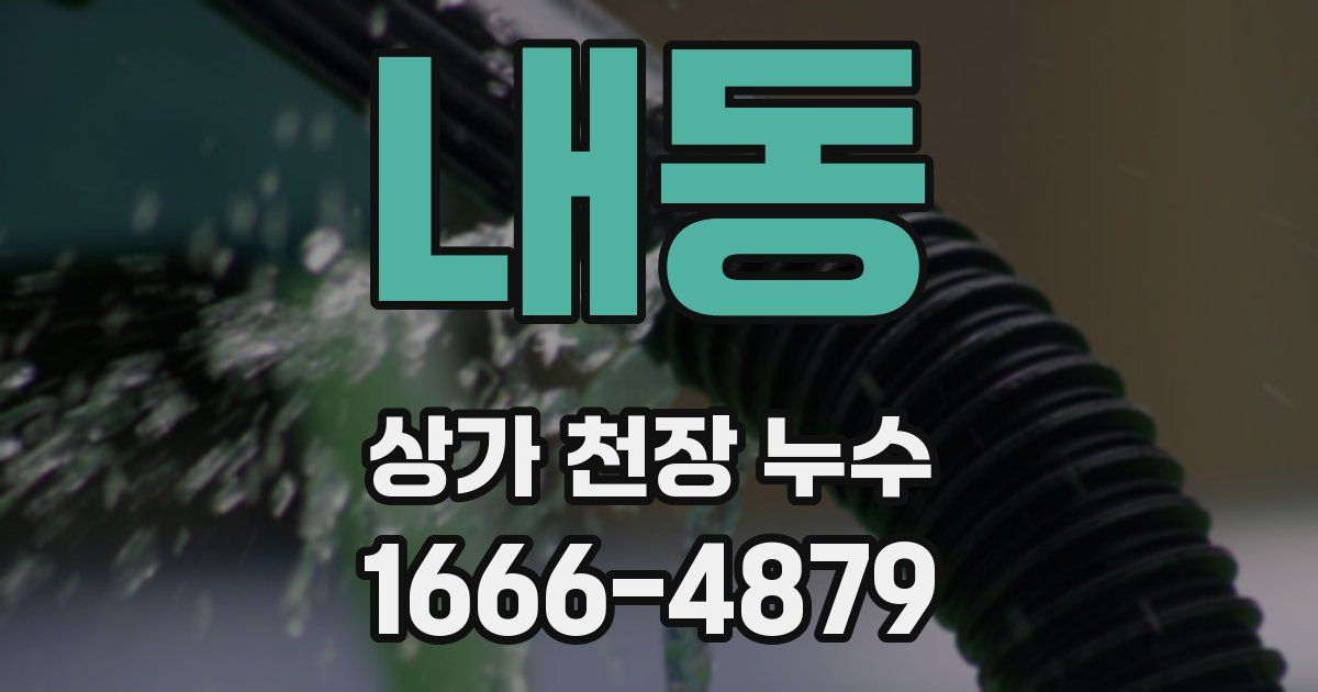 내동 상가 천장 누수