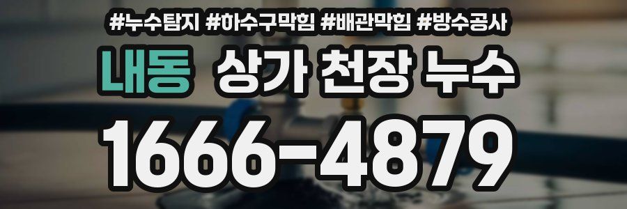 내동 상가 천장 누수