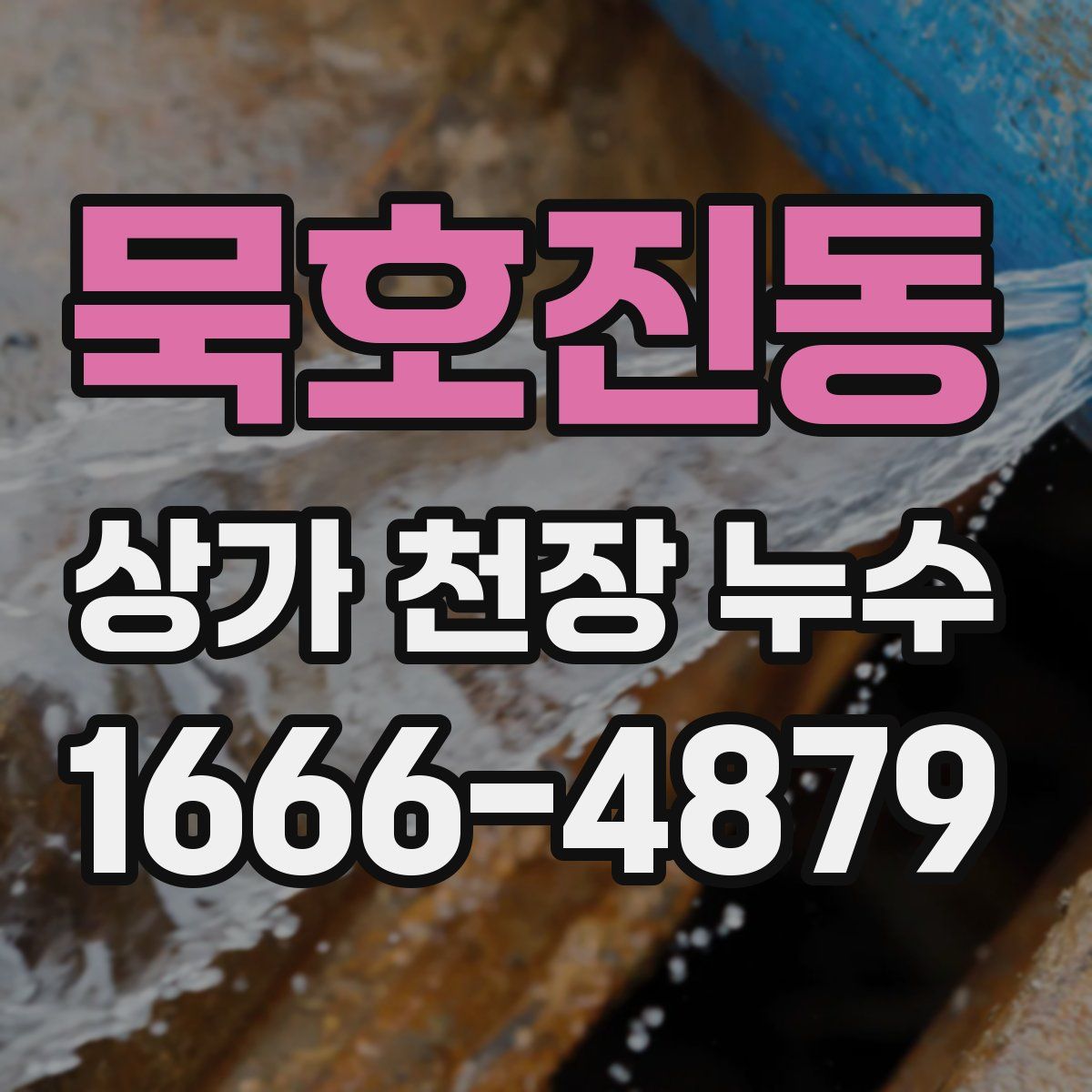 묵호진동 상가 천장 누수