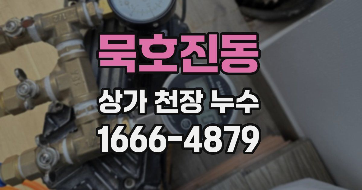 묵호진동 상가 천장 누수