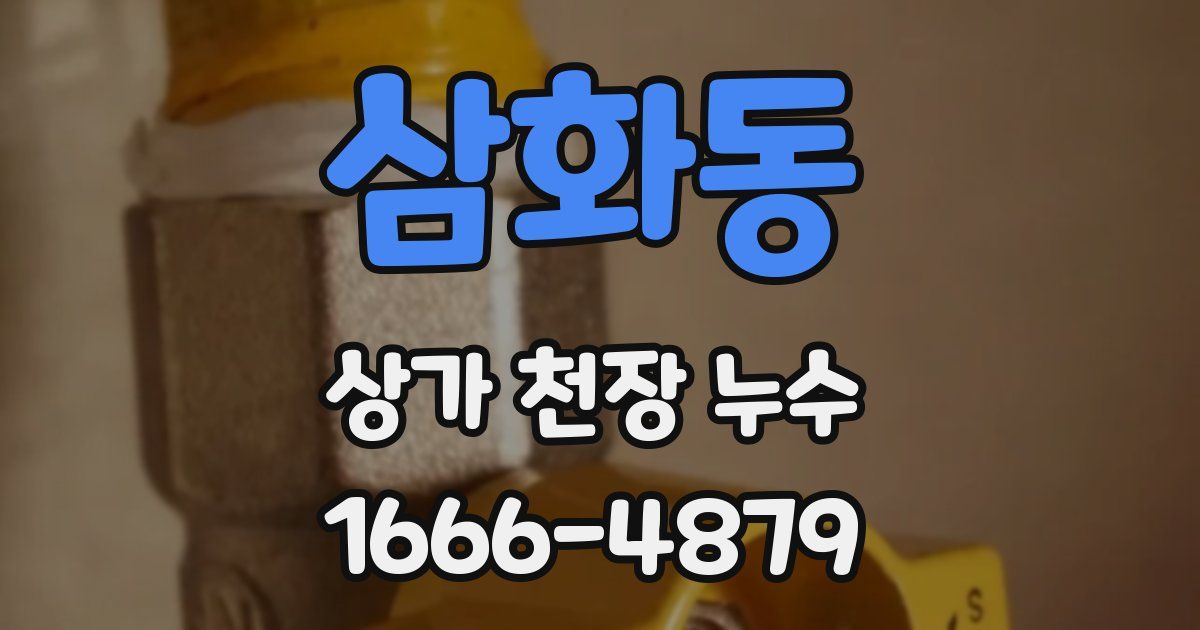 삼화동 상가 천장 누수