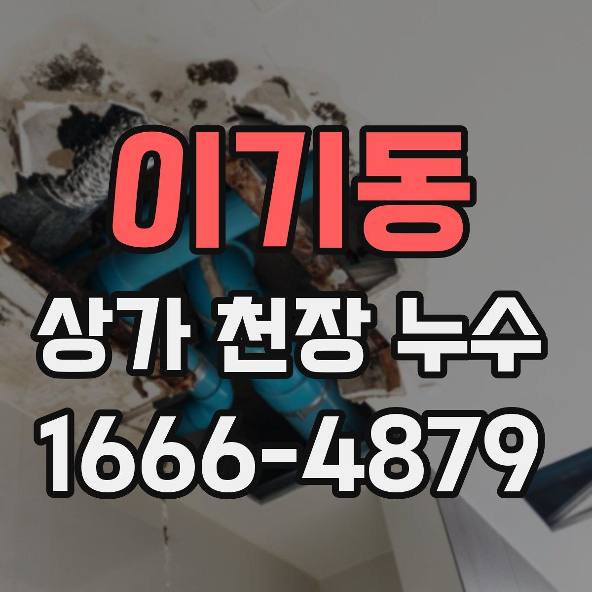 이기동 상가 천장 누수