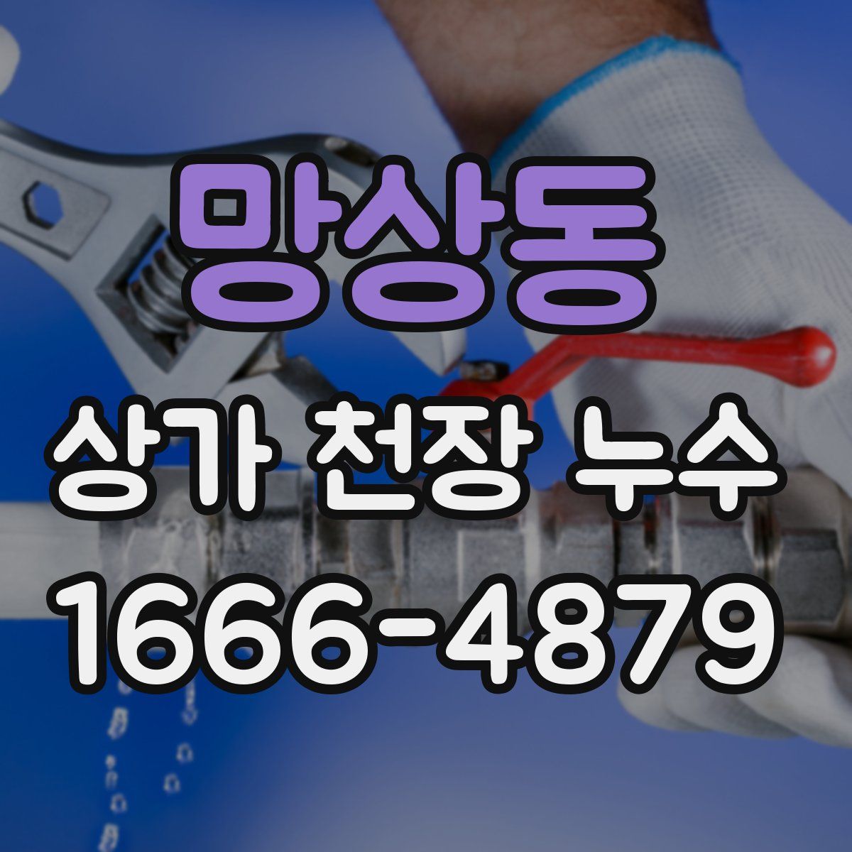 망상동 상가 천장 누수
