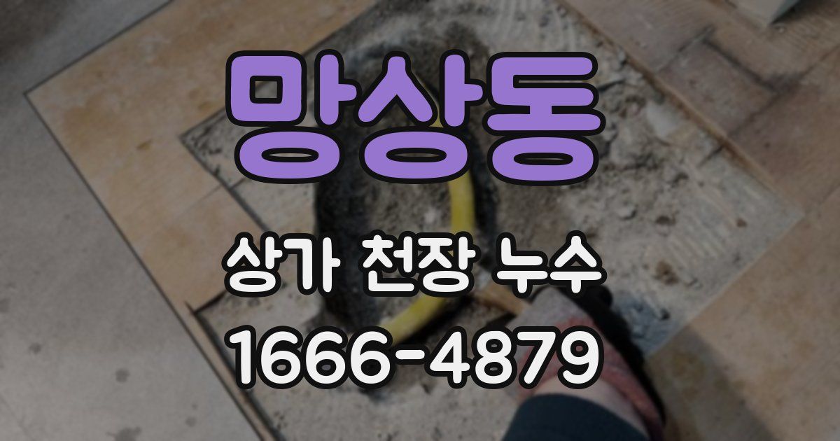 망상동 상가 천장 누수