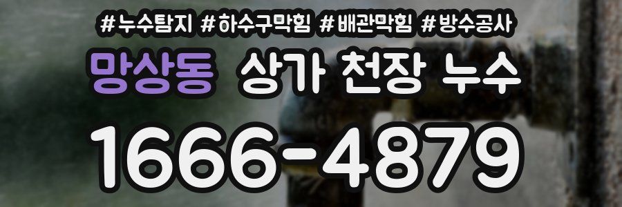 망상동 상가 천장 누수