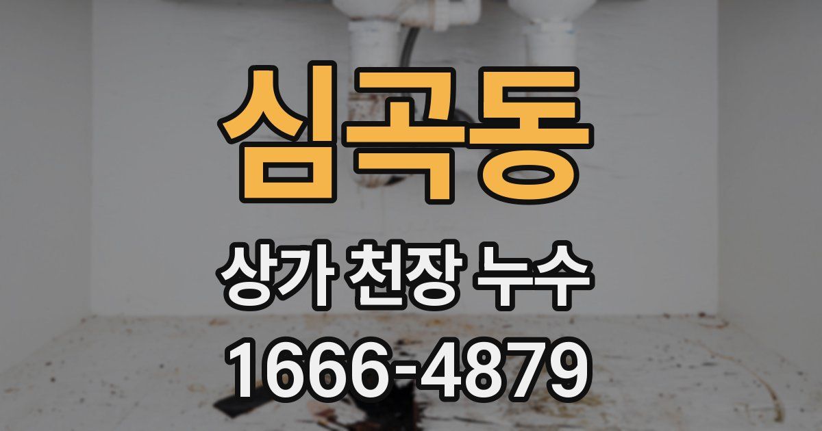 심곡동 상가 천장 누수