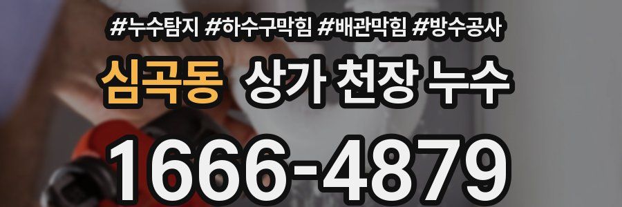 심곡동 상가 천장 누수