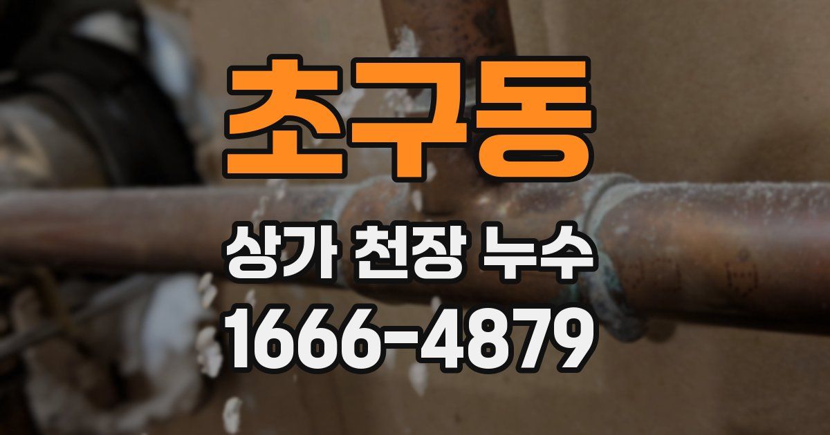 초구동 상가 천장 누수