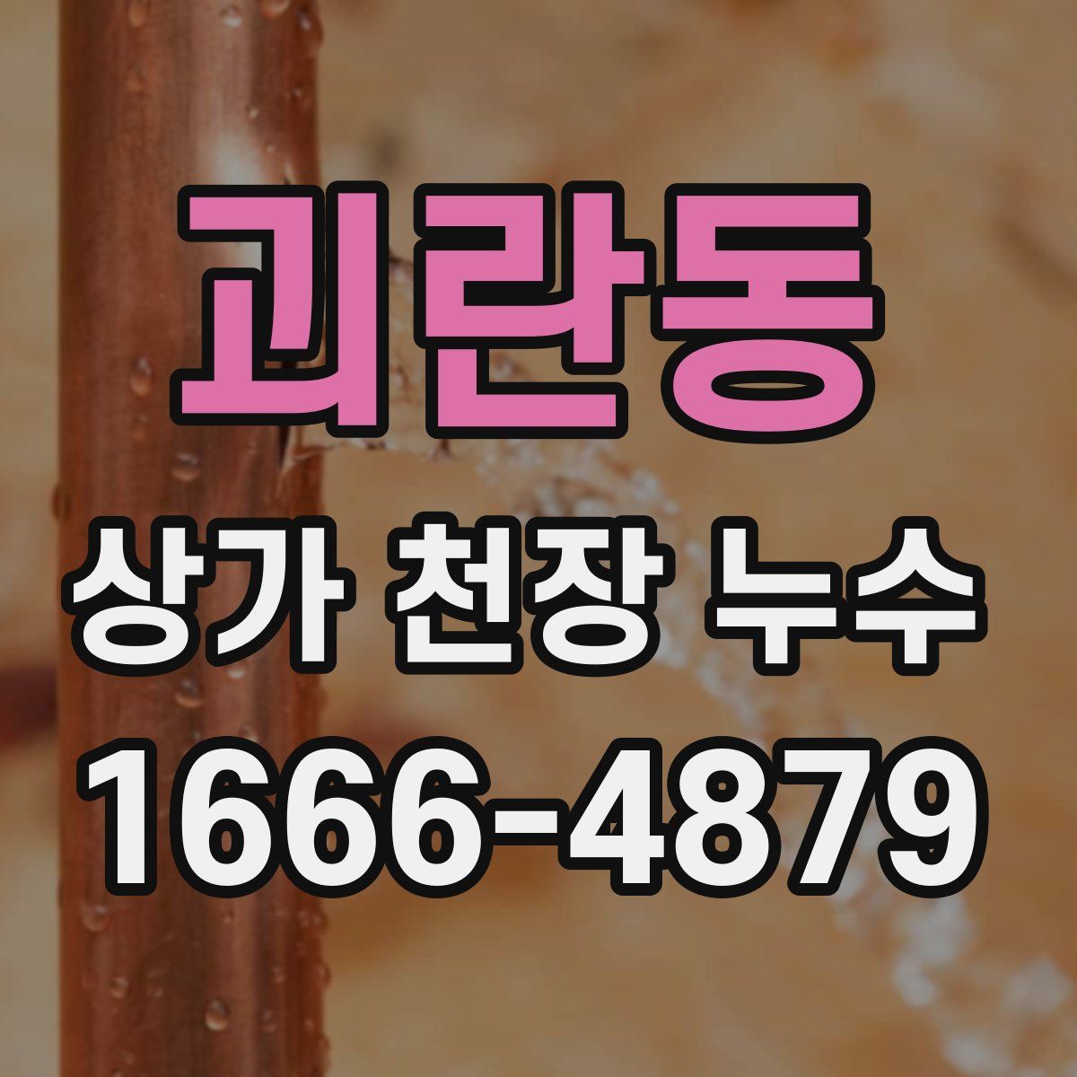 괴란동 상가 천장 누수
