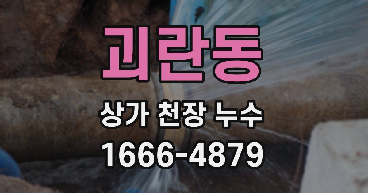 괴란동 상가 천장 누수
