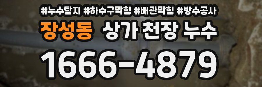 장성동 상가 천장 누수