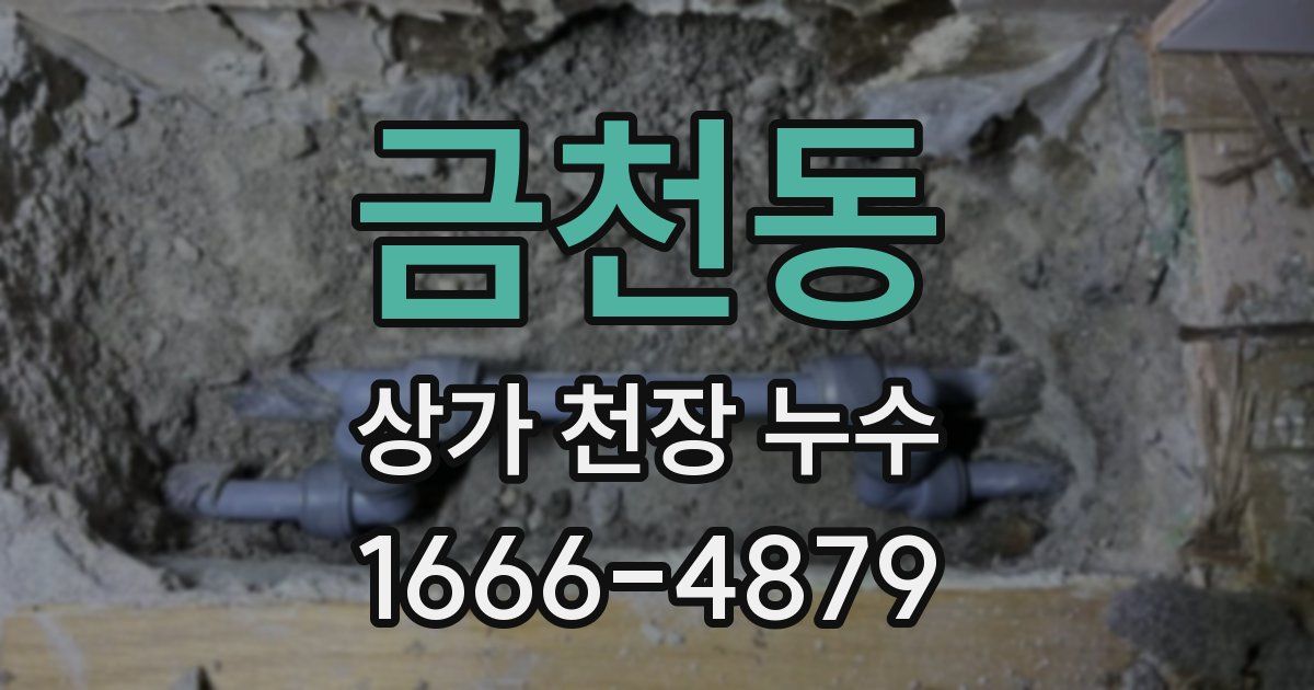 금천동 상가 천장 누수