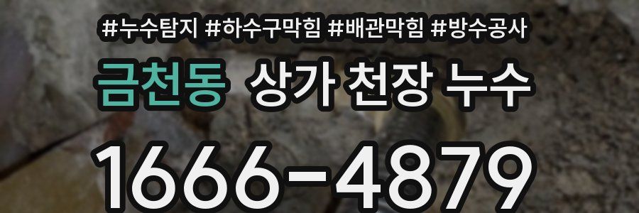 금천동 상가 천장 누수