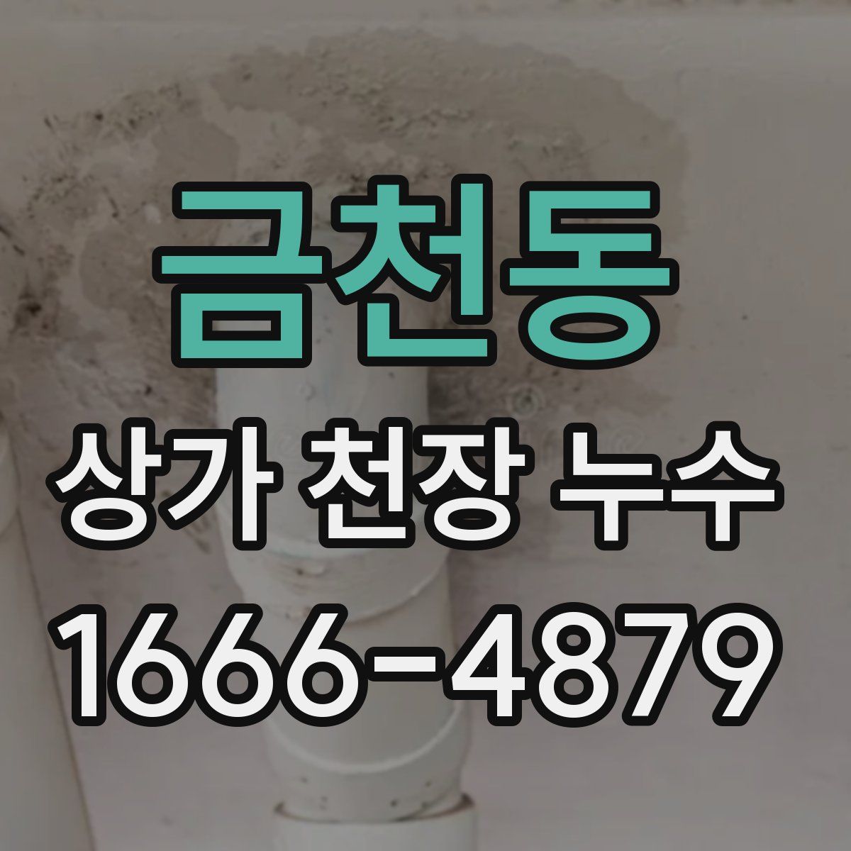 금천동 상가 천장 누수