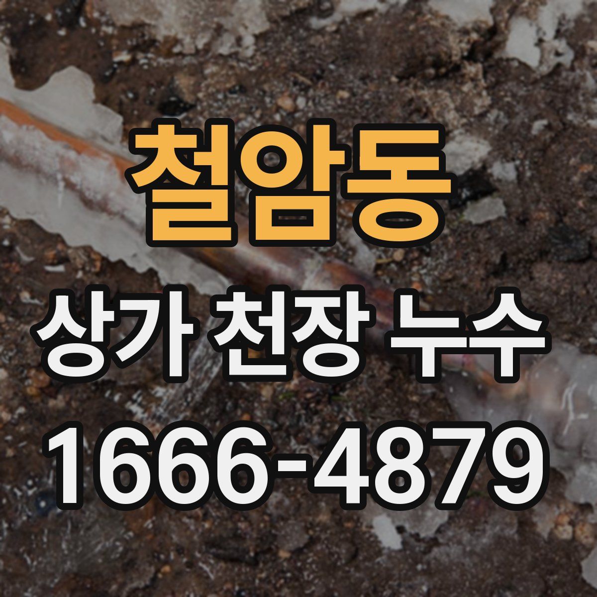 철암동 상가 천장 누수