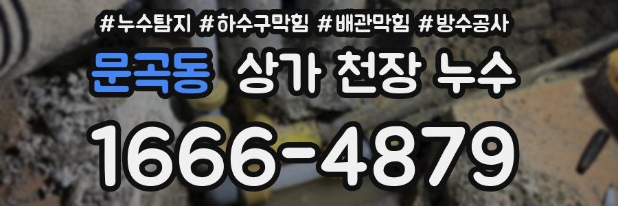 문곡동 상가 천장 누수