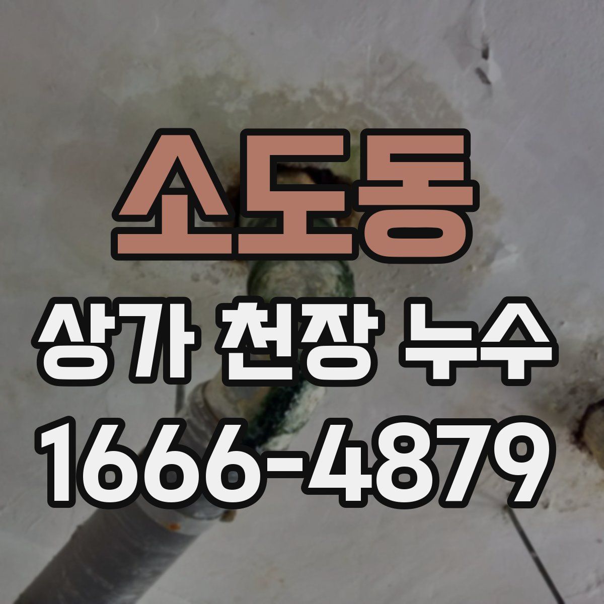 소도동 상가 천장 누수