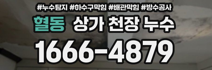 혈동 상가 천장 누수