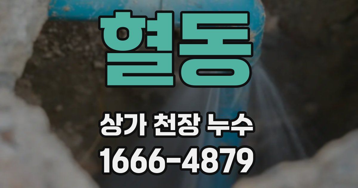 혈동 상가 천장 누수