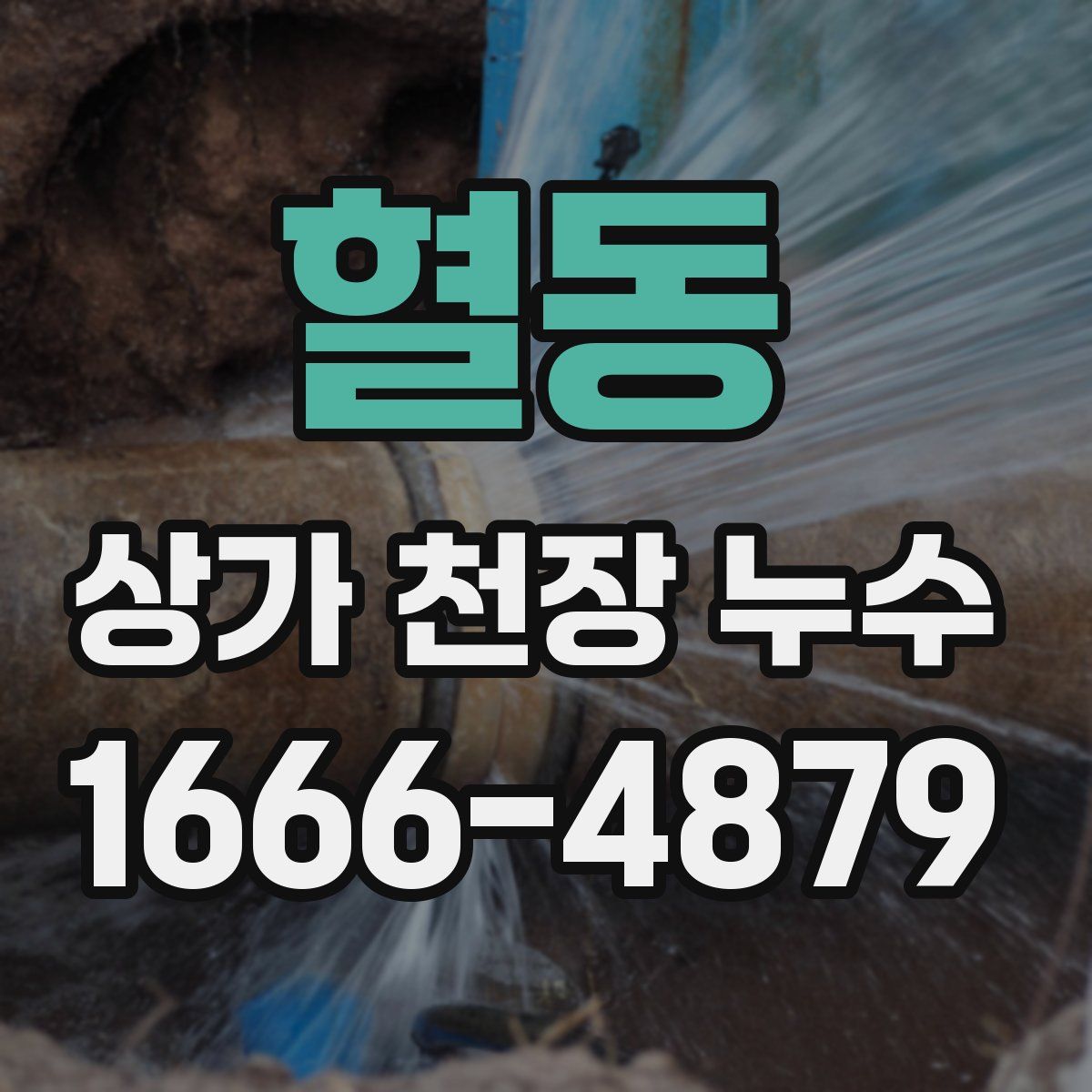 혈동 상가 천장 누수
