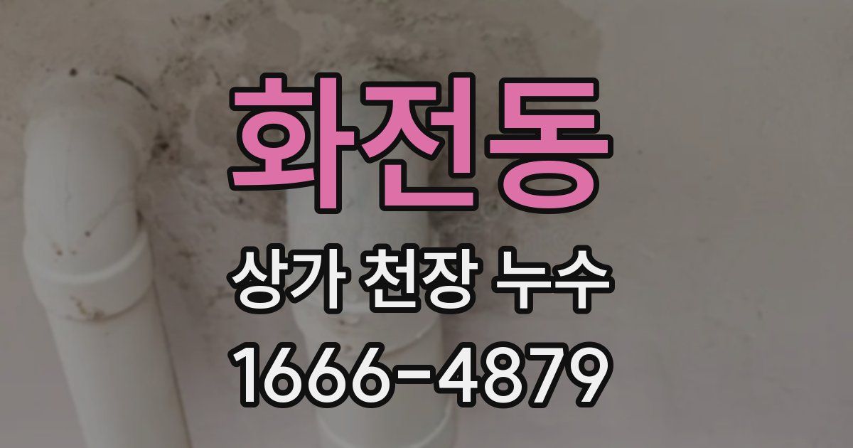 화전동 상가 천장 누수