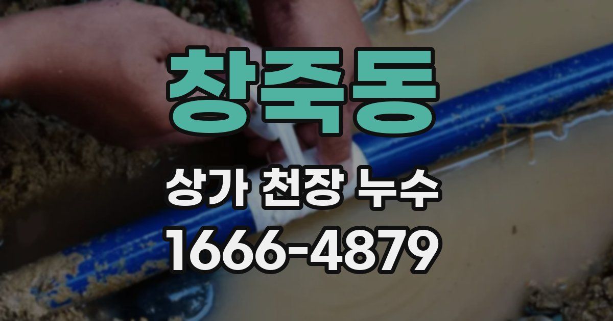 창죽동 상가 천장 누수