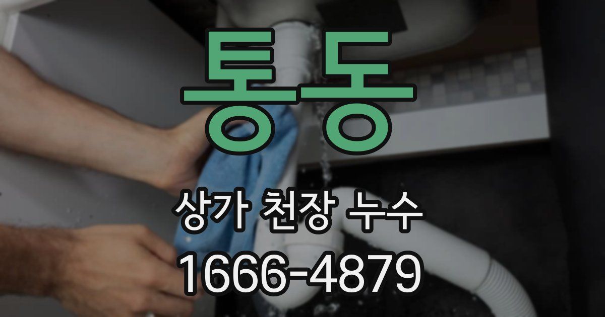 통동 상가 천장 누수