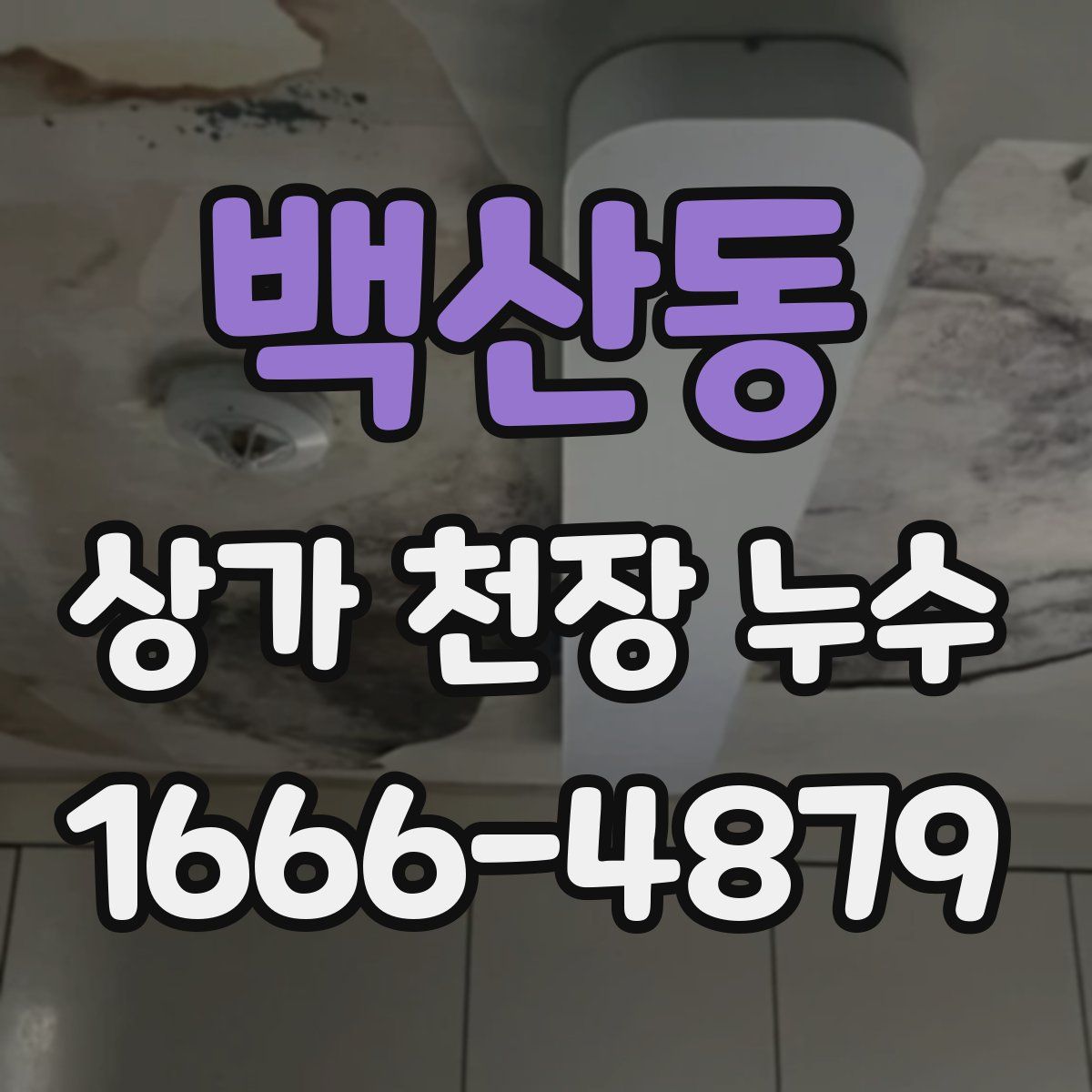 백산동 상가 천장 누수