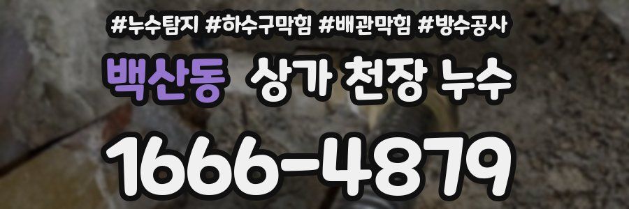 백산동 상가 천장 누수
