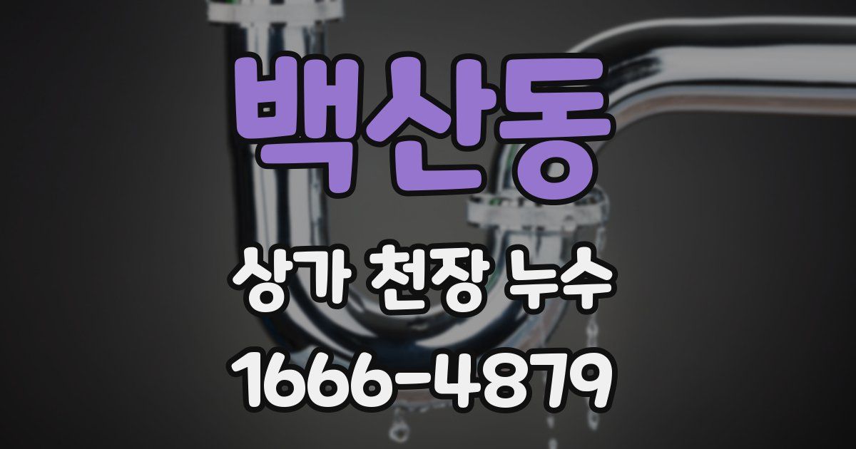 백산동 상가 천장 누수