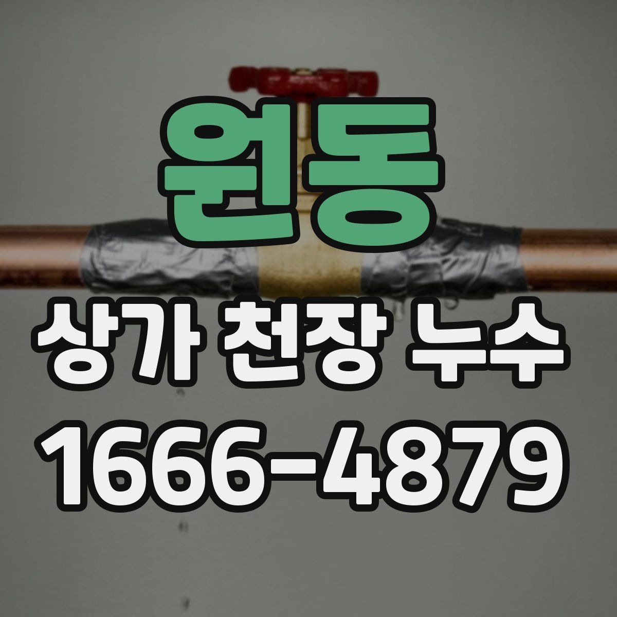 원동 상가 천장 누수