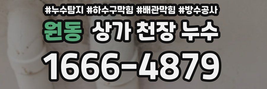 원동 상가 천장 누수