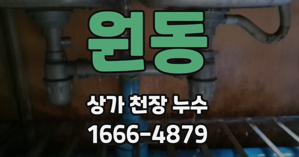 원동 상가 천장 누수