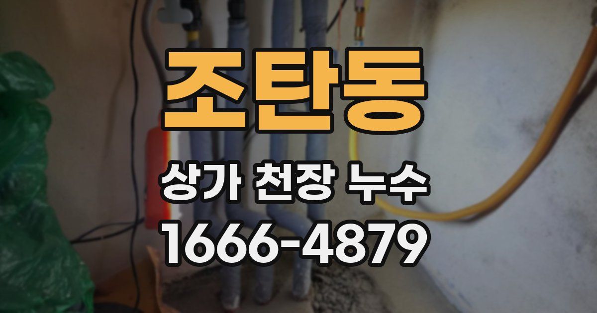 조탄동 상가 천장 누수