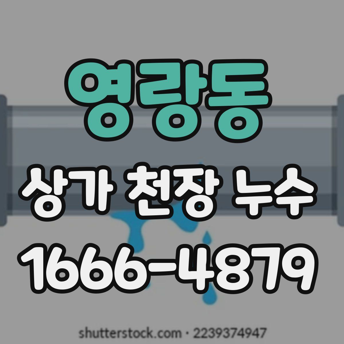 영랑동 상가 천장 누수