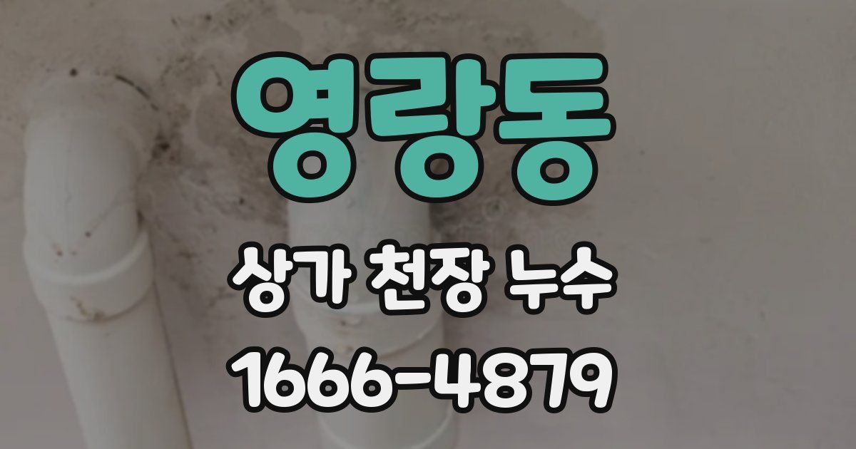 영랑동 상가 천장 누수