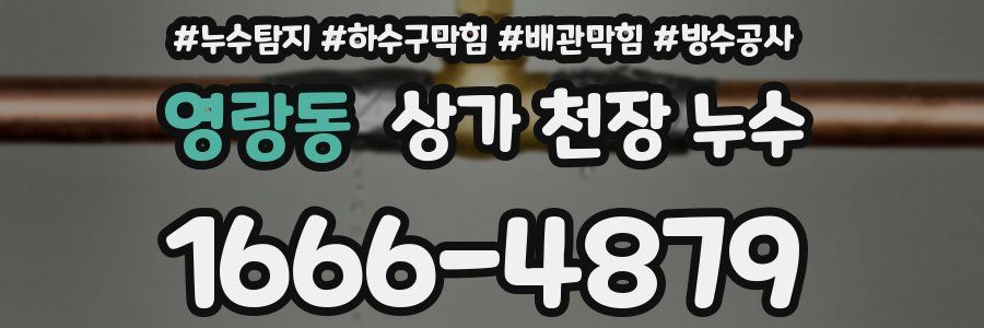 영랑동 상가 천장 누수