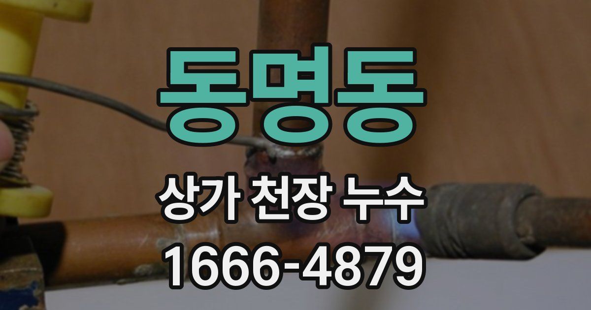 동명동 상가 천장 누수