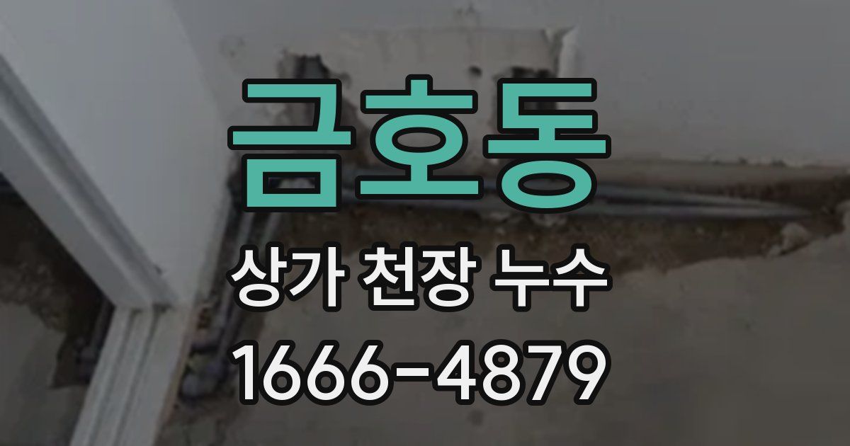 금호동 상가 천장 누수