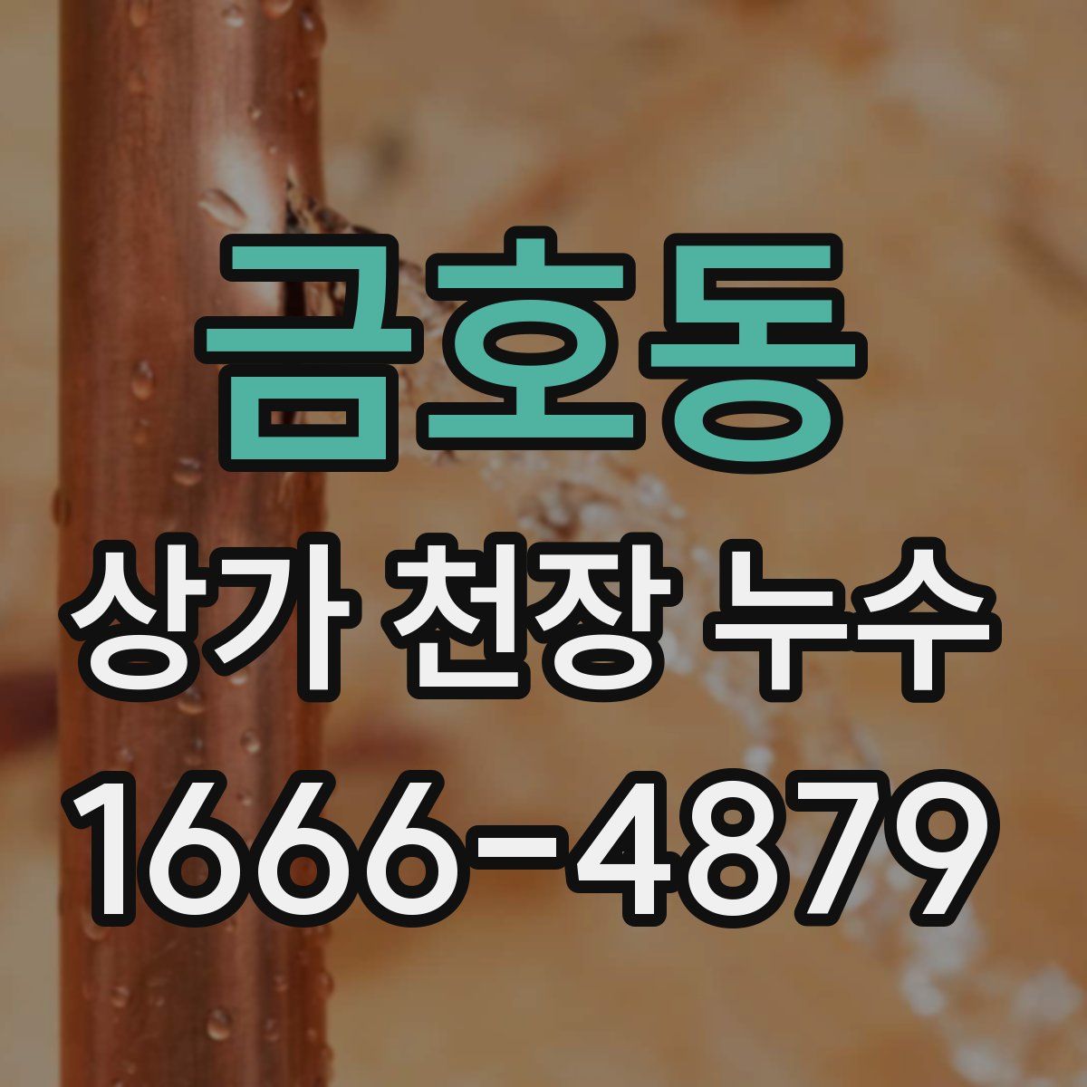 금호동 상가 천장 누수