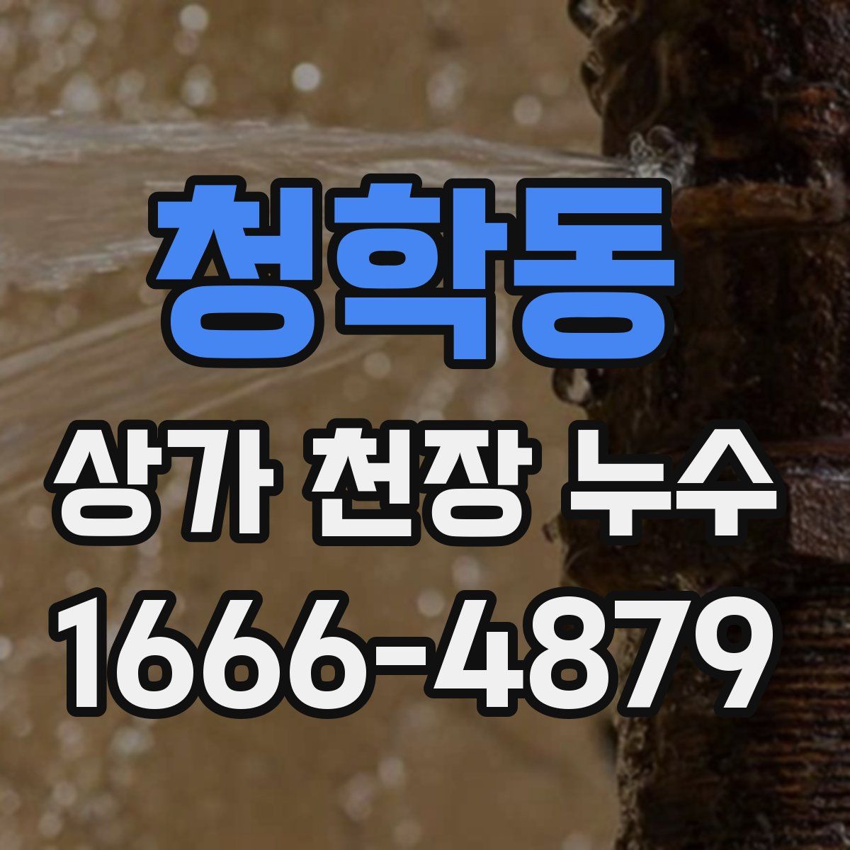 청학동 상가 천장 누수