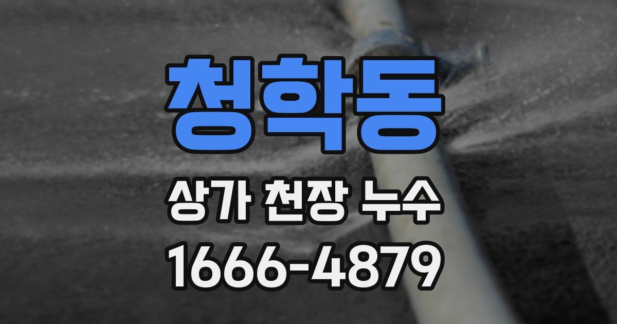 청학동 상가 천장 누수